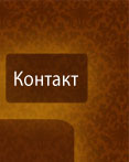Kontakt Willa Kubik